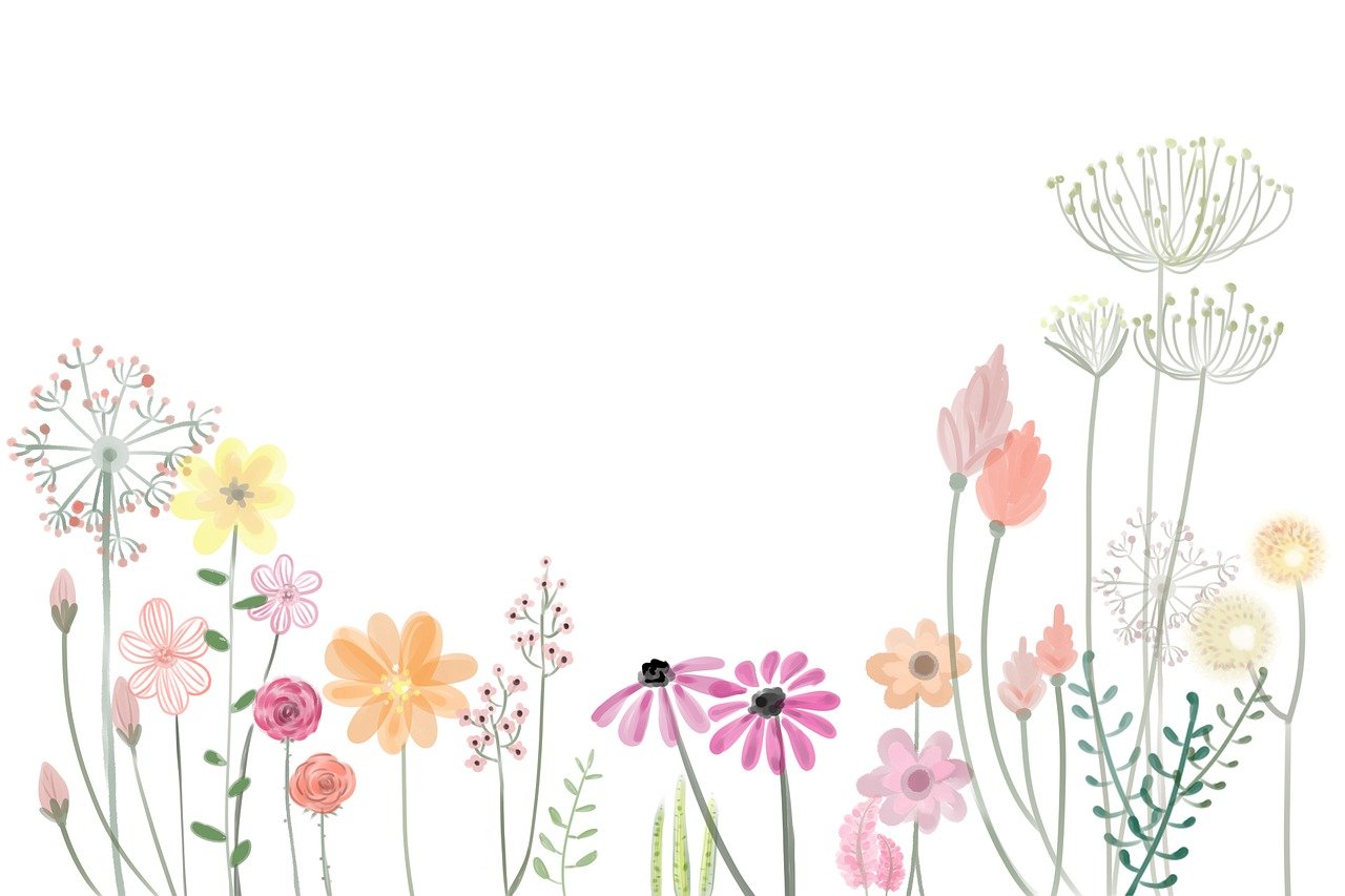 ফুলের পিকচার ও ছবি ২০২২ | Full HD Flower Background Photo 2022