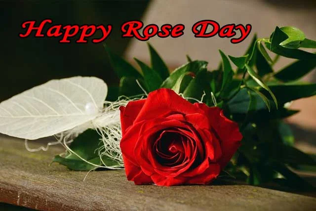 happy-rose-day-640-440