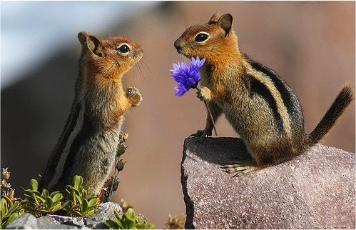 Pequenos gestos: grandes atitudes!