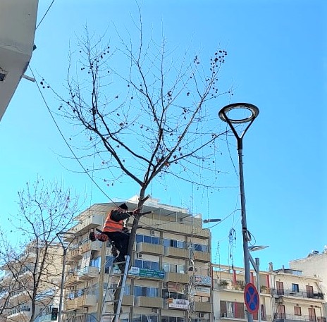 ΟΥΣΙΑΣΤΙΚΕΣ παρεμβάσεις για το Πράσινο από το Δήμο Καλαμάτας