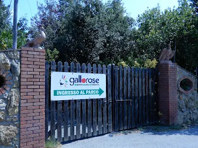 Parco Gallorose（ガッロロゼ公園）入り口