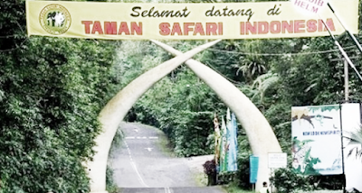 Objek Wisata Taman Safari Indonesia di Cisarua Bogor 