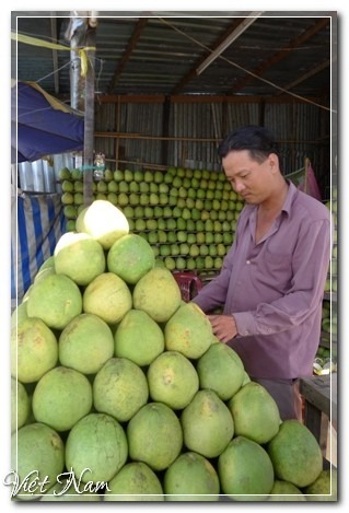 Về miền Tây, say đặc sản, Việt Nam