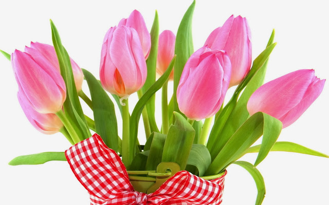florero de tulipanes de colores