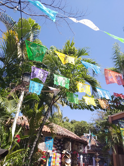 isla del rio cuale en Puerto Vallarta