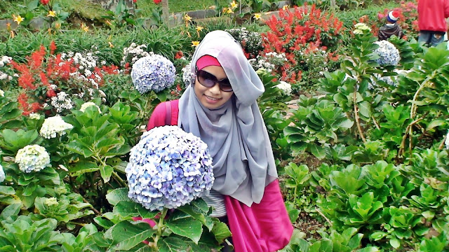 Beautiful Purple - Live Simply
