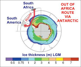 Out of Africa erectus route