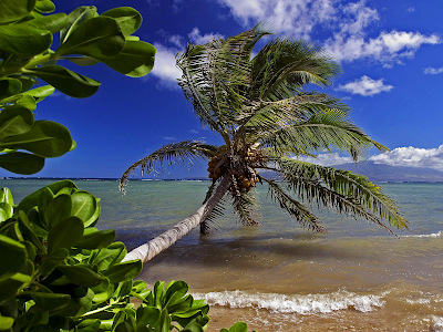 tropical beaches wallpaper. tropical beach wallpaper.