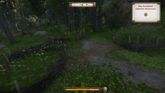 Guía para ganar dinero rápido y subir Herboristería en kingdom come deliverance