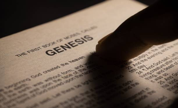 Best Genesis 1 | The Creation | Genesis 1:1-31
