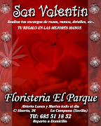 UNA FLOR PARA SAN VALENTIN. Si cada vez que pensara en ti, (san valentin prueba)