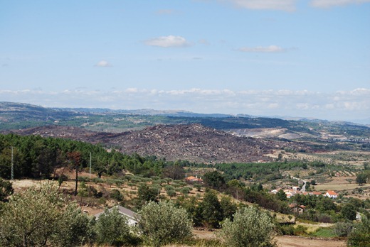 14-Telma (2)