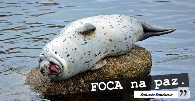 focapaz.png (634×329)