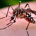 Boletim Epidemiológico registra aumento de 8% nos casos prováveis de dengue, zika e chikungunya na Paraíba