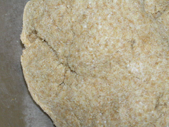 sourdough biscuit dough