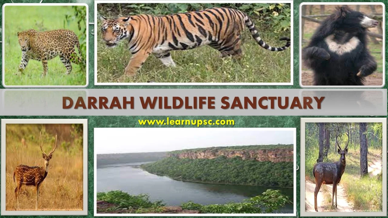 Darrah Wildlife Sanctuary