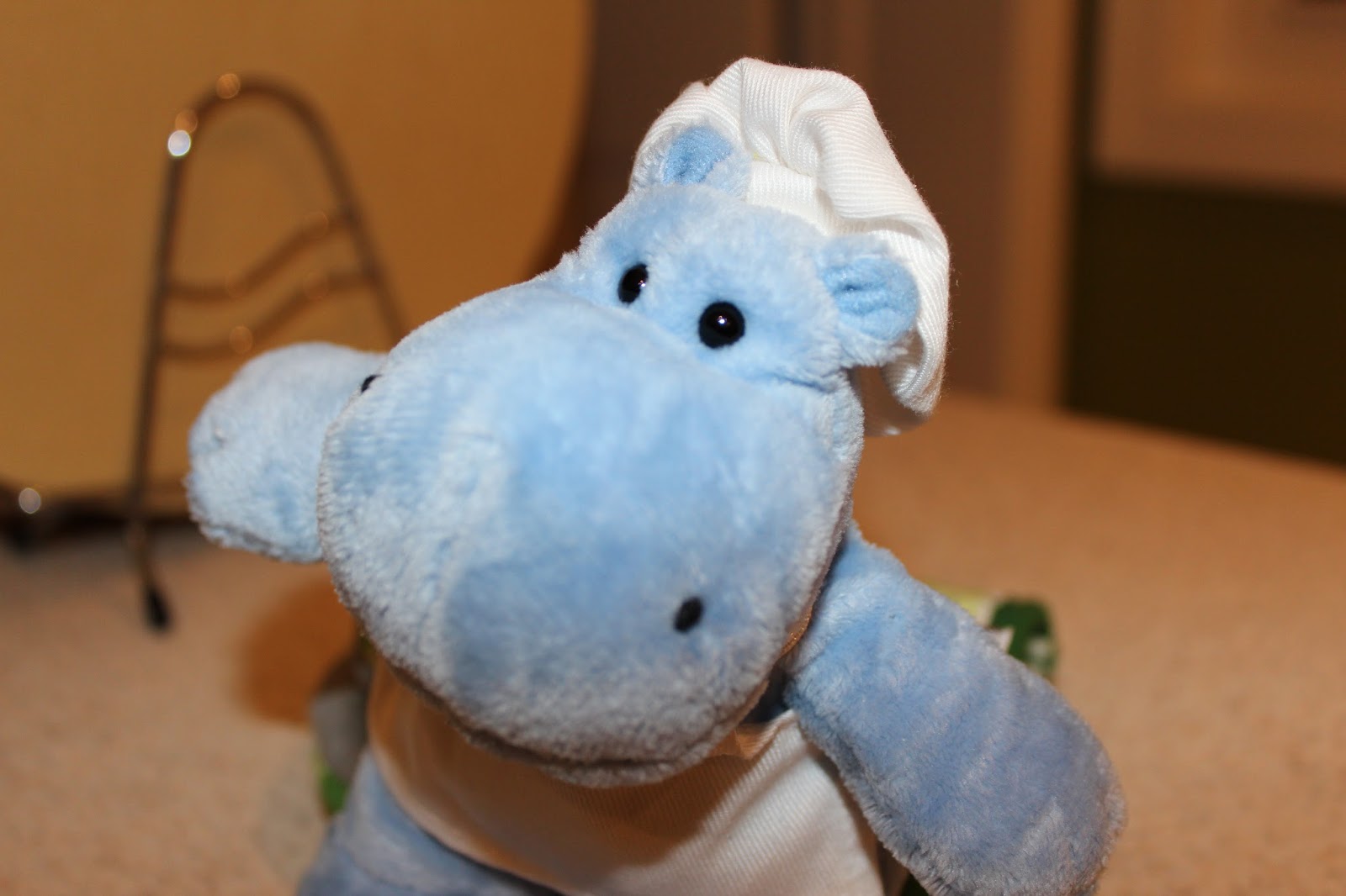 yang janice: [TBT] Hippo gets a visitor