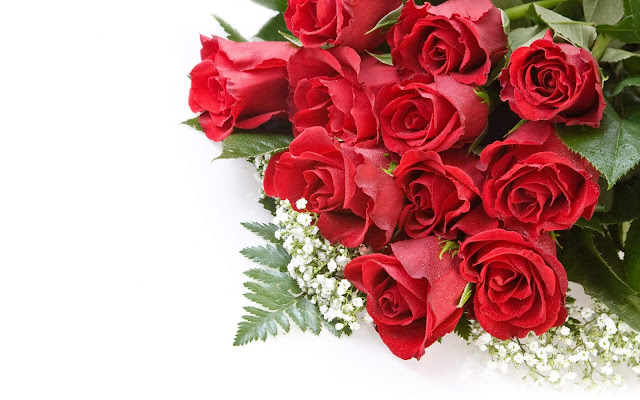 Beautiful Red Roses Flowers Collections 21