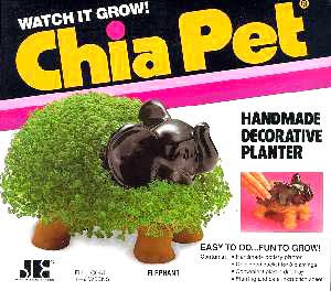 Chia Pet