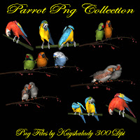 PNG resources, PNG Tubes, PNG tubes, Parrots, birds, animal png