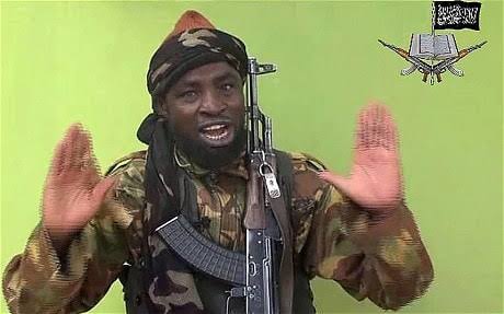 Boko Haram leader Shekau releases video addressing Nnamdi kanu how to handle Nigerian Army over the recent python dance in umuahia. 