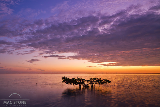 Mac Stone, Everglades