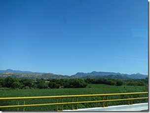 IMG_7347
