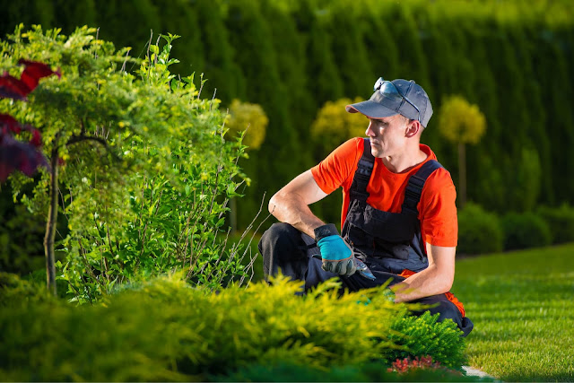 Trimmed to Perfection: Comprehensive Garden Maintenance