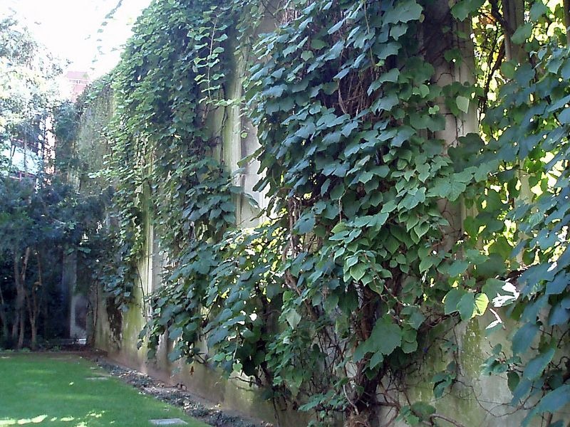 st-dunstan-in-the-east-church-1