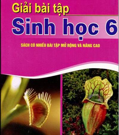 đề kiểm tra học kì 1 môn sinh lớp 6 hay nhất