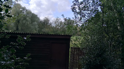  collection of textures, holly leaves, edge of corrugated iron, woven fence and a variety of trees.