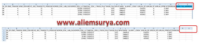 Edit Template CSV Untuk Data PEB, Kolom "R" dan "S" Dihapus Sebelum Anda Impor Ke E-Faktur