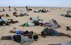 pengungsi somalia