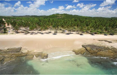 Carneiros Brasil Turismo Viajar Playas