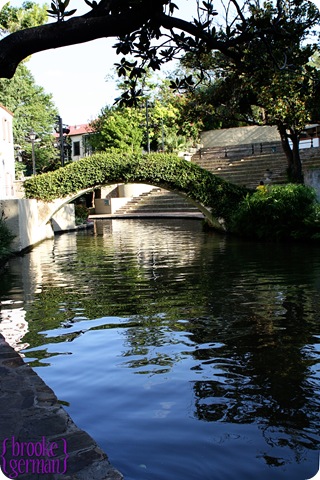 Texas_104bg