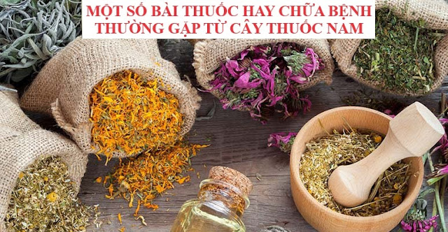 Tự Chữa Bệnh Bằng Cây Thuốc Nam - MỘT SỐ BÀI THUỐC HAY (Phần 5)