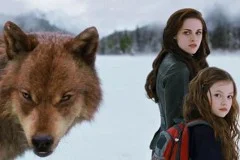 The Twilight Saga Breaking Dawn Part 2 (sinopsis)