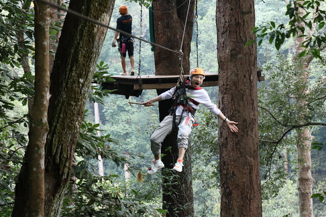 jungle flight chiang mai, jungle flight in chiang mai, jungle flight zipline chiang mai, zipline jungle flight chiang mai, zipline jungle flight, jungle flight adventure chiang mai