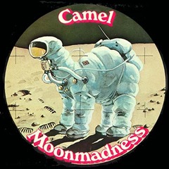 camel_front