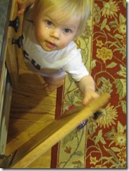 IMG_9767 - Copy