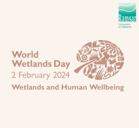 Wetlands and Human Well-being.