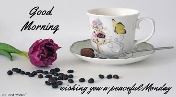 good morning monday with tea