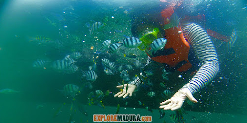 snorkeling wisata gili labak