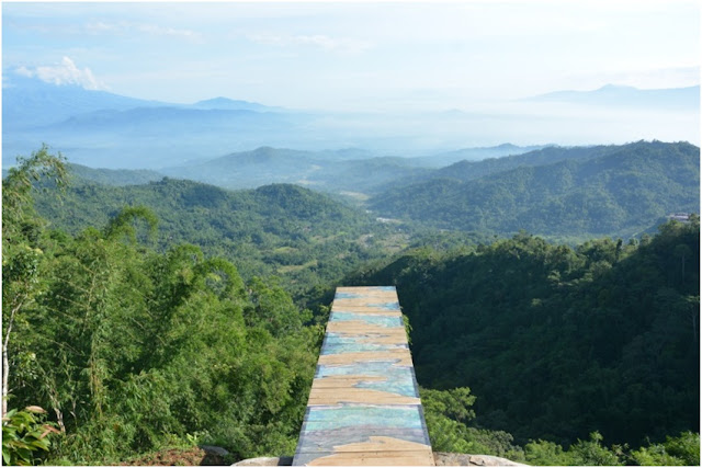 bukit isis kebun teh nglinggo