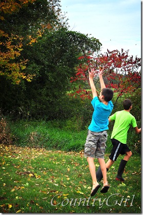 leaf catching