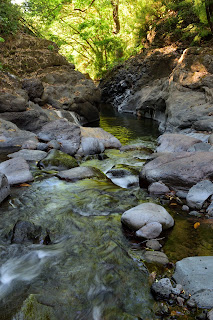 Rio Viejo, Costa Rica