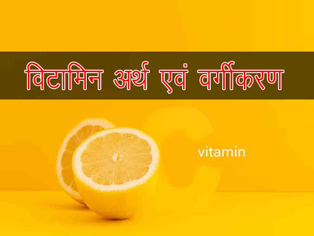 विटामिन क्या होती है अर्थ एवं वर्गीकरण |Vitamins Classification in Hindi