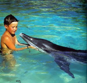 Imagen de niño acariciando un delfin