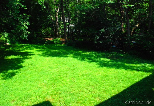 5. yard-kab