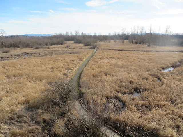 Tennant Lake Boardwalk Trail, 